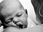 Newborn Portraits