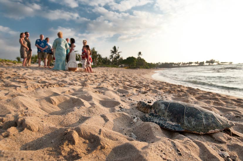 Kukio Beach Wedding