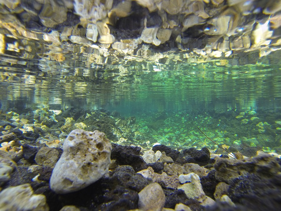 Kona Photographer, Fresh Water Spring